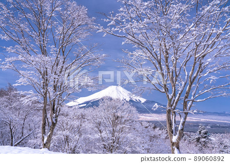 《Yamanashi Prefecture》 Mt. Fuji in winter, 20 songs of snowfall 89060892