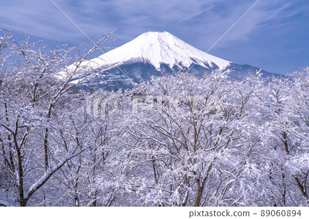 《Yamanashi Prefecture》 Mt. Fuji in winter, 20 songs of snowfall 89060894