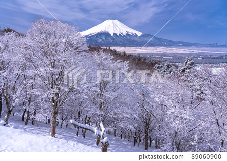 《Yamanashi Prefecture》 Mt. Fuji in winter, 20 songs of snowfall 89060900