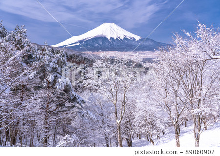《Yamanashi Prefecture》 Mt. Fuji in winter, 20 songs of snowfall 《Yamanashi Prefecture》 Mt. Fuji in winter, 20 songs of snowfall 89060902