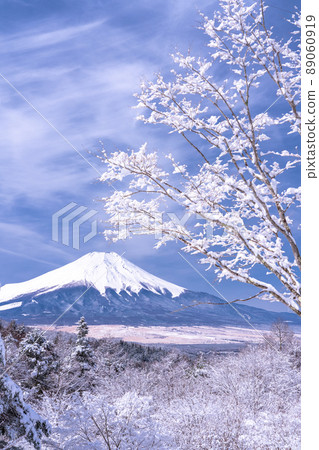 《Yamanashi Prefecture》 Mt. Fuji in winter, 20 songs of snowfall 《Yamanashi Prefecture》 Mt. Fuji in winter, 20 songs of snowfall 89060919
