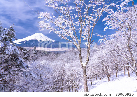 《Yamanashi Prefecture》 Mt. Fuji in winter, 20 songs of snowfall 《Yamanashi Prefecture》 Mt. Fuji in winter, 20 songs of snowfall 89060920
