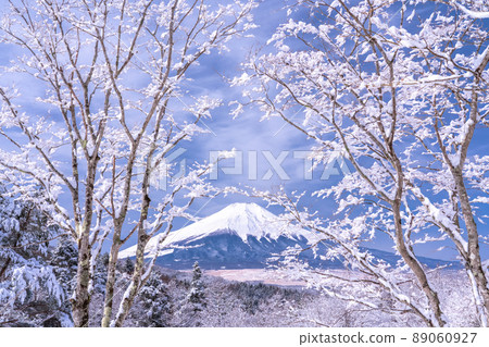 《山梨縣》冬天的富士山，20首降雪歌曲 89060927