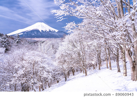 《山梨縣》冬天的富士山，20首降雪歌曲 89060943