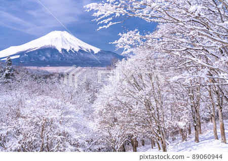 《山梨縣》冬天的富士山，20首降雪歌曲 89060944