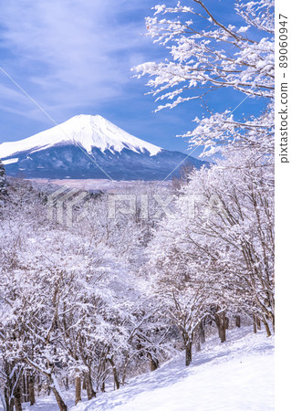 《Yamanashi Prefecture》 Mt. Fuji in winter, 20 songs of snowfall 89060947