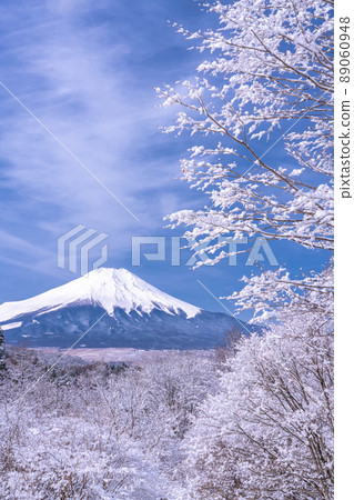 《山梨縣》冬天的富士山，20首降雪歌曲 89060948