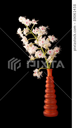 Horse chestnut flower in a vase on a black background 89061438