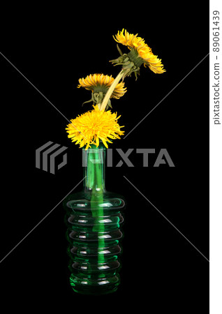 dandelion flowers in a vase on a black background 89061439