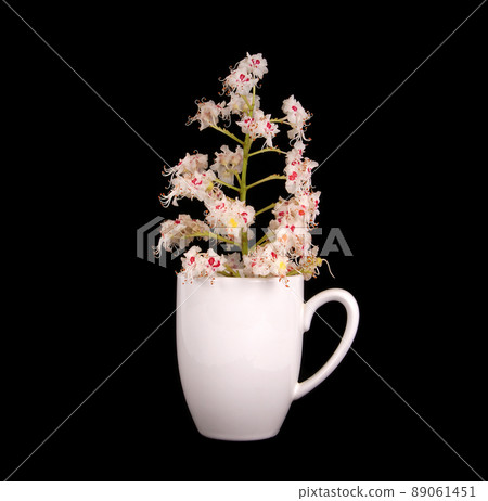 Horse chestnut flower in a vase on a black background 89061451