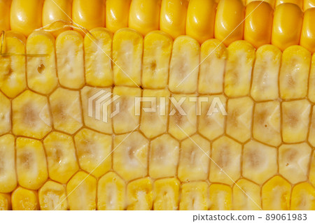 unripe young corn with yellow seeds cut into pieces 89061983