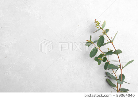 Eucalyptus leaves on white wooden background. Frame made of eucalyptus branches. Flat lay, top view, copy space Eucalyptus leaves on white wooden background. Frame made of eucalyptus branches. Flat lay, top view, copy space 89064040