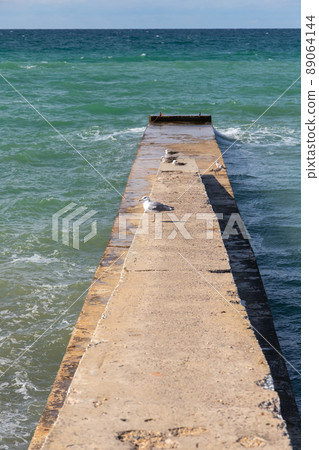 Seagulls are on an old breakwater, summer landscape. Vertical photo Seagulls are on an old breakwater, summer landscape. Vertical photo 89064144