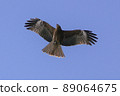 Tobi 89064675