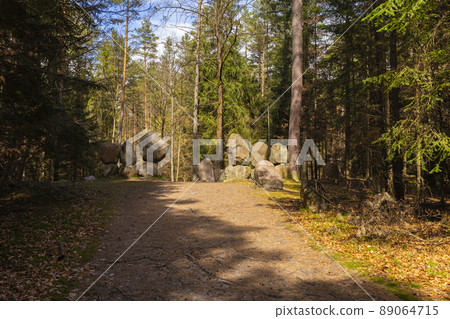 Path through Beech Mountain Reserve - in polish Bukowa Gora - in Zwierzyniec, Roztochia region in Poland. 89064715