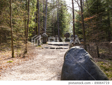 Path through Beech Mountain Reserve - in polish Bukowa Gora - in Zwierzyniec, Roztochia region in Poland. 89064719