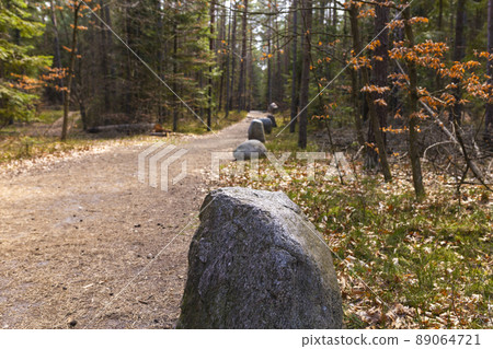 Path through Beech Mountain Reserve - in polish Bukowa Gora - in Zwierzyniec, Roztochia region in Poland. 89064721