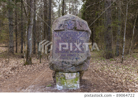 Path through Beech Mountain Reserve - in polish Bukowa Gora - in Zwierzyniec, Roztochia region in Poland. 89064722