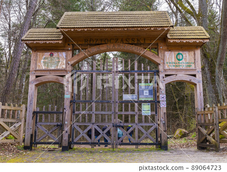 Path through Beech Mountain Reserve - in polish Bukowa Gora - in Zwierzyniec, Roztochia region in Poland. 89064723