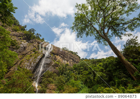Waterfall on Sri Lanka 89064873