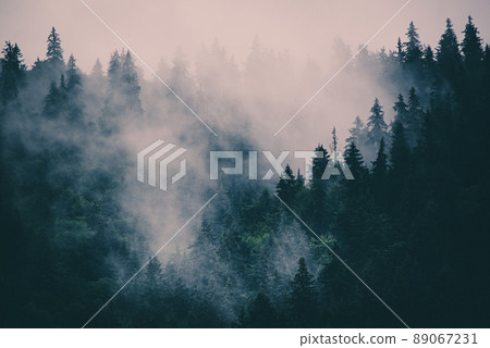 Misty mountain landscape Misty mountain landscape 89067231