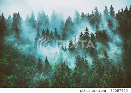 Misty mountain landscape Misty mountain landscape 89067233