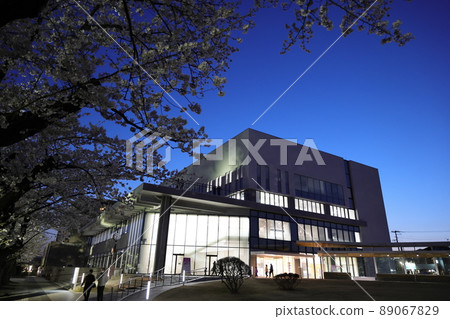 Illuminated cherry blossoms in Towada City Government Office (Towada City, Aomori Prefecture) 89067829