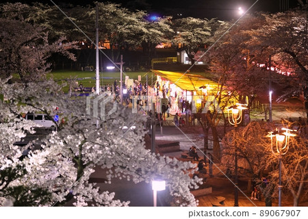 燈火通明的十和田湖政府事務所櫻花（青森縣十和田市） 89067907