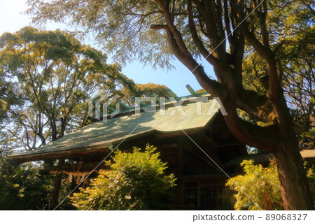 The roof of a Japanese spring house in the woods The roof of a Japanese spring house in the woods 89068327