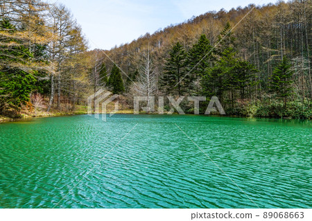 春天的岩名池（富士見台高原索道、天堂園原） 89068663