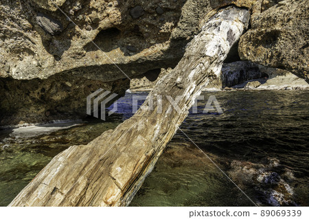 島根縣織田市羽根西部的二氧化矽樹 89069339