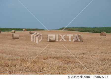 收割後麥田裡的小麥卷 89069724