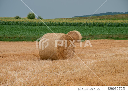 收割後麥田裡的小麥卷 收割後麥田裡的小麥卷 89069725