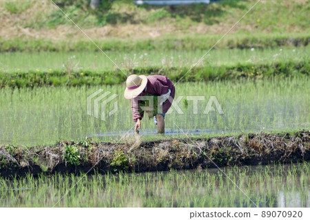 農場工作四月 農場工作四月 89070920
