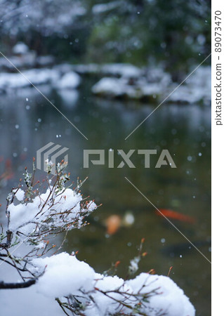 Winter Kaga sightseeing spot, snowy Natadera temple winter buds and pond ,, vertical composition 89073470