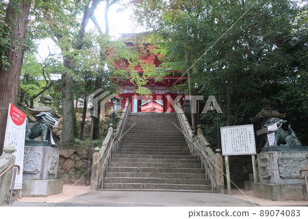 Sumiyoshi Shrine 89074083