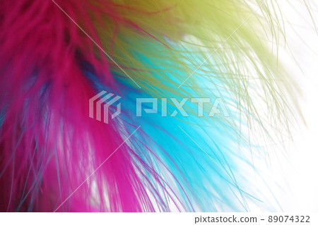Feather colorful Feather colorful 89074322