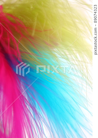 Feather colorful 89074323
