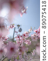 櫻花和貢多拉 89075418