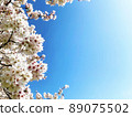 櫻花盛開 89075502