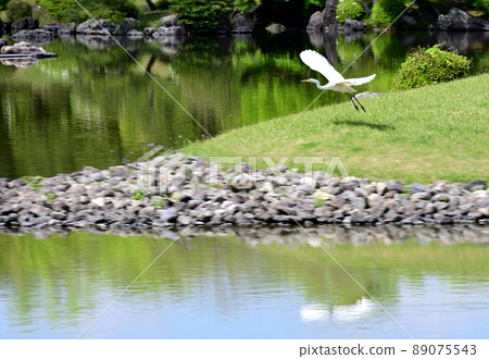 Expo '70 Commemorative Park Gray Heron Flight 89075543