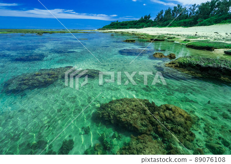 阿澤王子海灘（德之島） 89076108