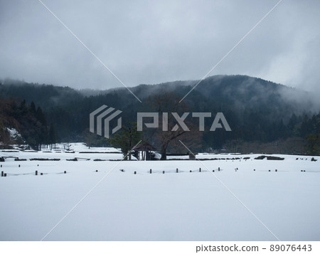 福井縣福井市雪一乘谷 福井縣福井市雪一乘谷 89076443