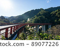 Nanto City, Toyama Prefecture, Nashiya Ohashi and Gokayama Tunnel (October) 89077226