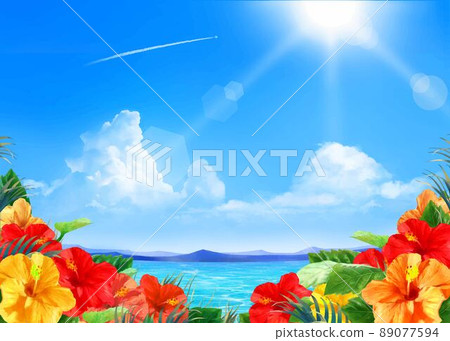 在陽光普照的藍天下，一種時尚的夏日框架背景材料，飛機和芙蓉沿著美麗的大海綻放 89077594