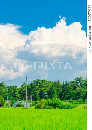 夏天的天空圖像 [長野縣] 89077682