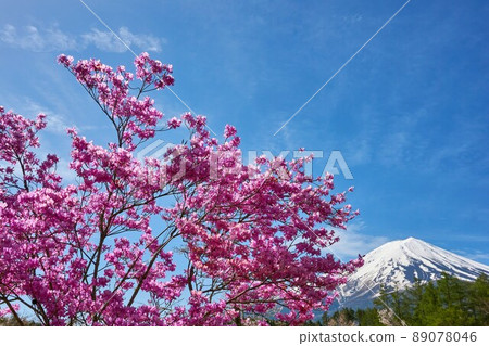Mitsubatsuji and Mt. Fuji Kawaguchiko Creative Forest Mitsubatsuji and Mt. Fuji Kawaguchiko Creative Forest 89078046