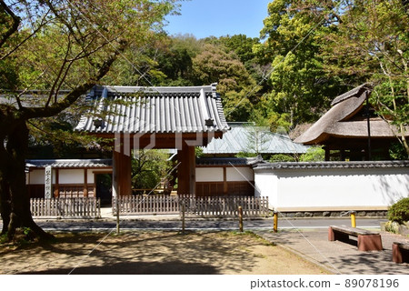 箱根町早雲寺山門和新鮮的綠色 箱根町早雲寺山門和新鮮的綠色 89078196