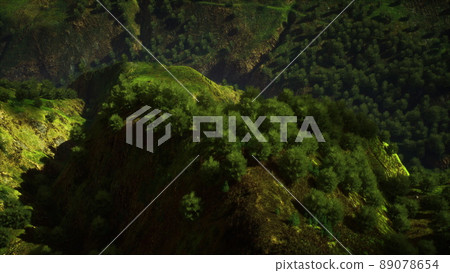tropical forest in morning view of highland Malaysia 89078654
