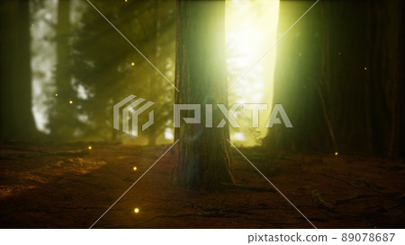 firefly in misty forest with fog 89078687